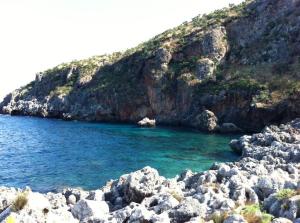 1176243_436357156478478_138406314_n